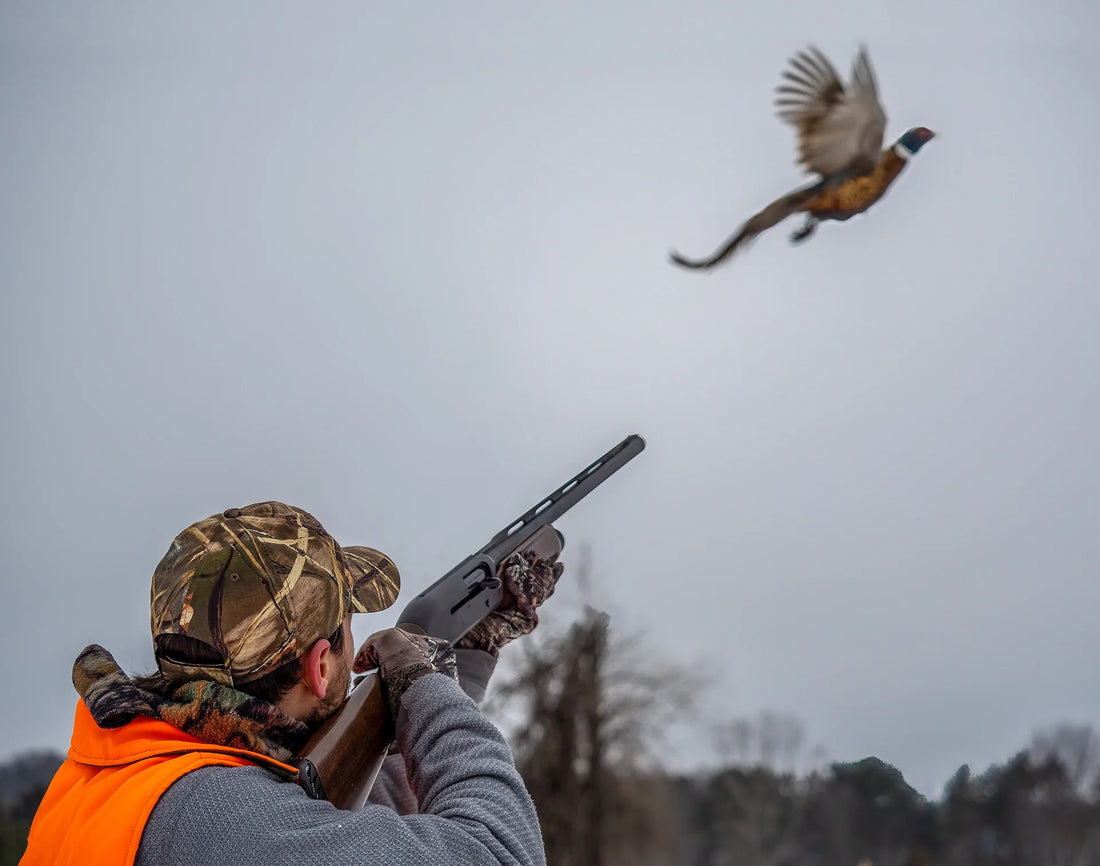 Fast Birds, Faster Decisions: Building Confidence in Every Upland Shot
