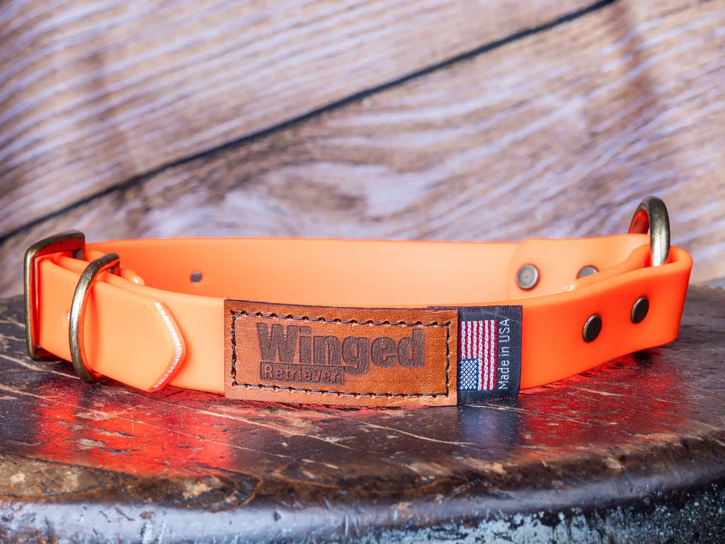 Patternmaster Jenny's Will Collar in bright orange with leather patch and USA flag.