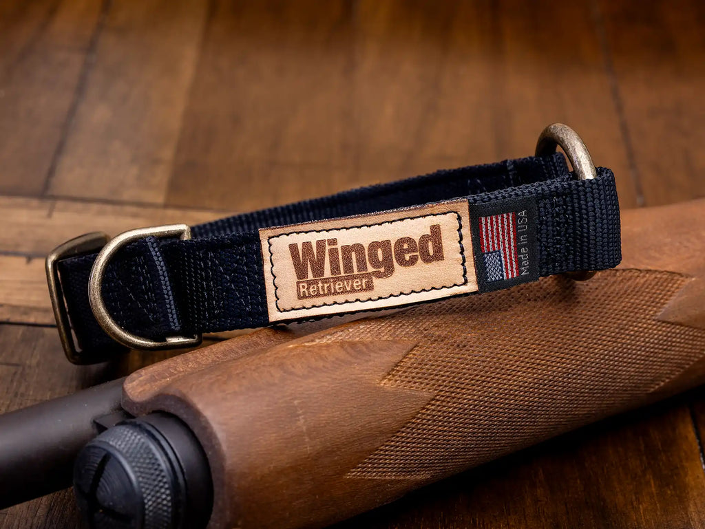 Patternmaster Wendy's Point Nylon Collar on wooden surface, featuring 'Winged Retriever' patch.