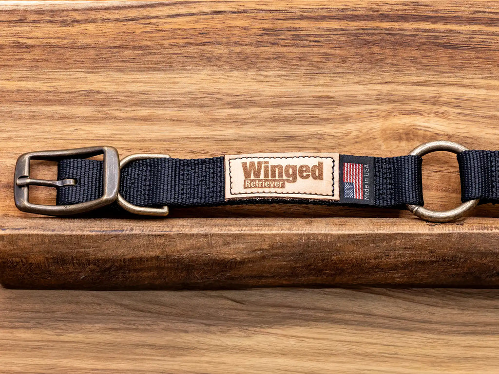 Patternmaster Wendy's Point Nylon Collar with metal buckle on wooden surface.