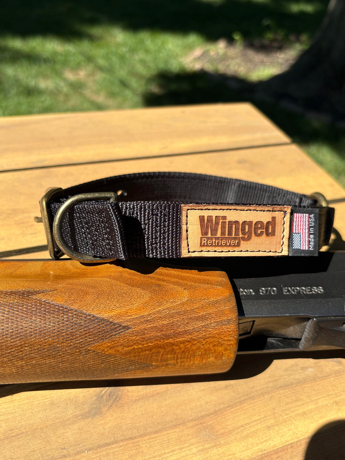 Wendy's Point Nylon Collar