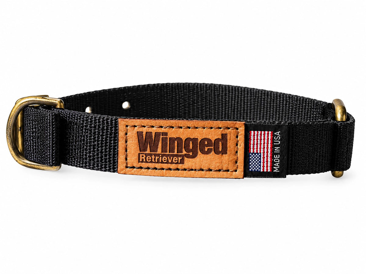 Wendy's Point Nylon Collar